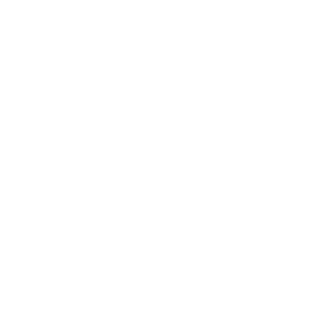 Automotive Icon