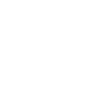 政府・公共部門 Icon