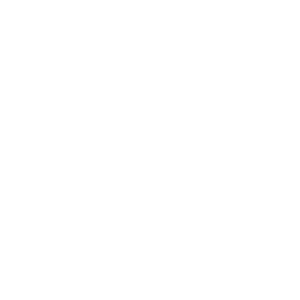 Healthcare Icon