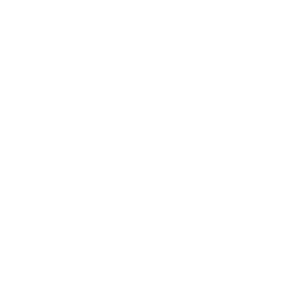 Manufacturing & Industrial Icon