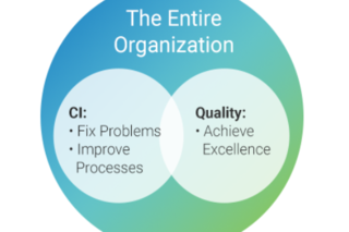 Venn diagram of continuous improvement versus quality, both of which are part of the entire organization.