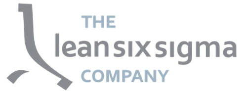 Lean Six Sigma 公司