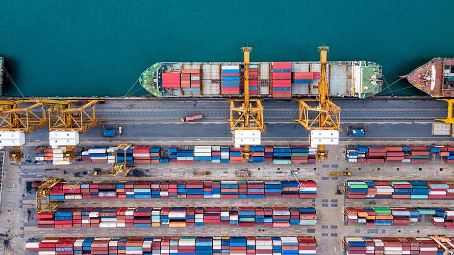 Módulo de cadena de suministro